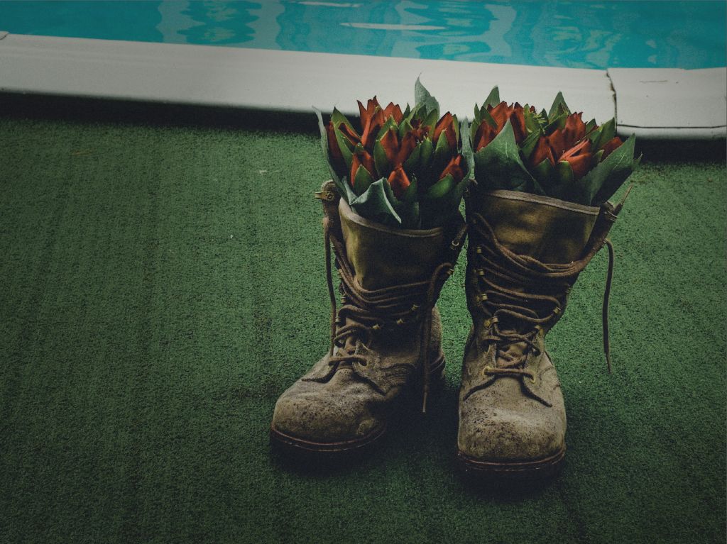 A pair of worn army boots filled with red tulips on artificial grass next to a swimming pool